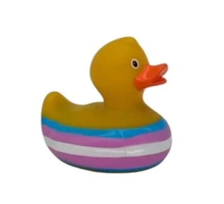 Kachnička - transgender